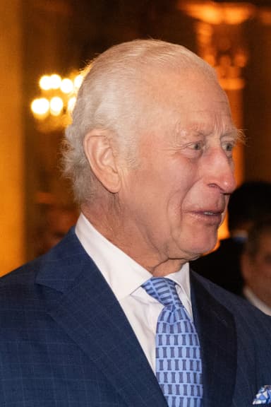 Official portrait photograph of King Charles III at the State Opening of Parliament